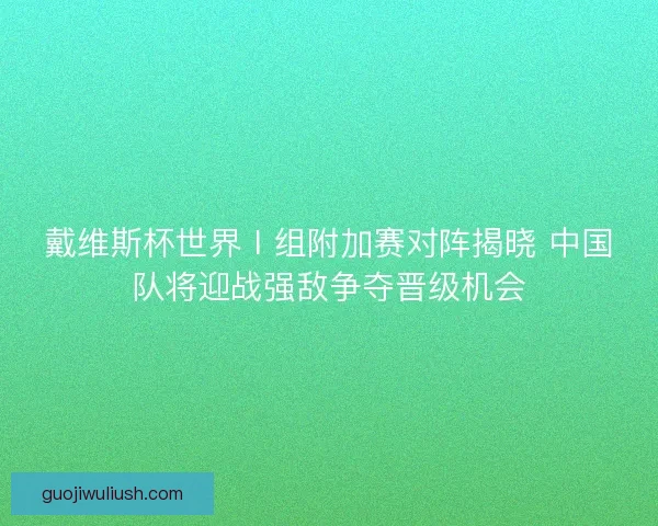 戴维斯杯世界Ⅰ组附加赛对阵揭晓 中国队将迎战强敌争夺晋级机会