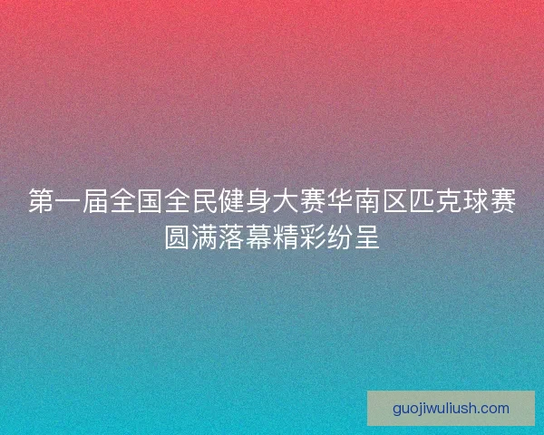 第一届全国全民健身大赛华南区匹克球赛圆满落幕精彩纷呈