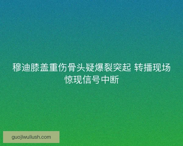 穆迪膝盖重伤骨头疑爆裂突起 转播现场惊现信号中断