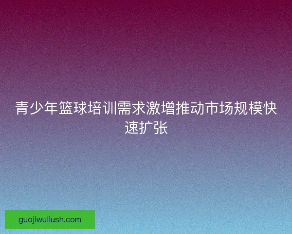 青少年篮球培训需求激增推动市场规模快速扩张